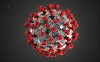 Coronavirus 2020 – Update